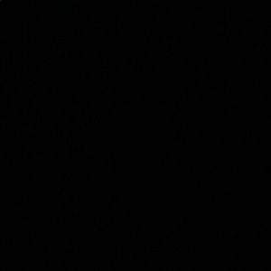 Meet your Posher, Charlotte